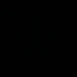 Meet your Posher, Tony